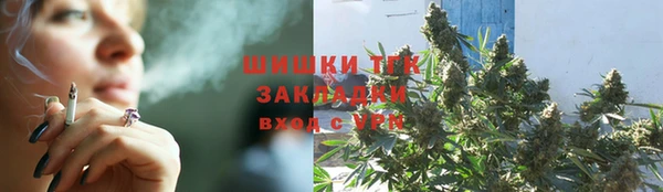 тгк Алзамай