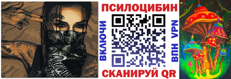 Галлюциногенные грибы ЛСД  закладка  Шацк 